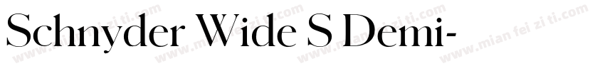 Schnyder Wide S Demi字体转换